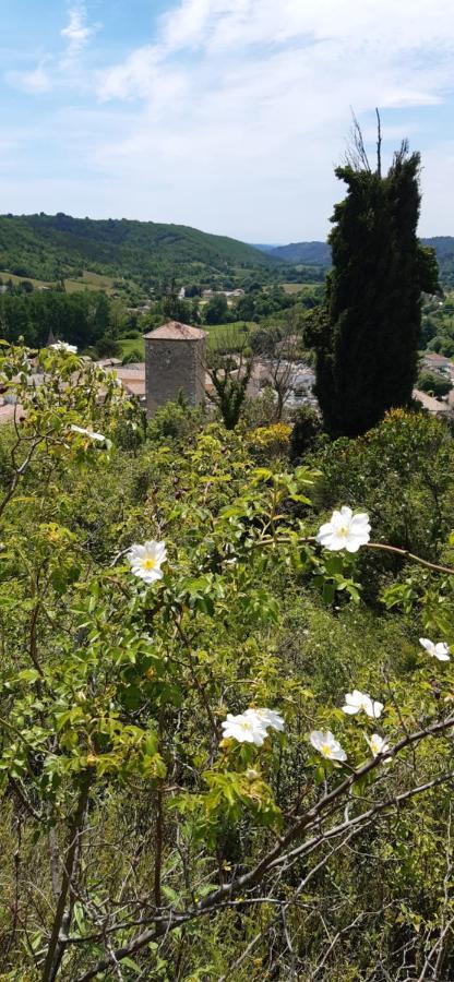 Loc Alp Verdon Riez Esterno foto